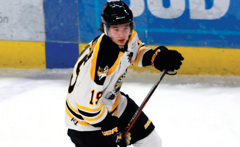 Cam Lund