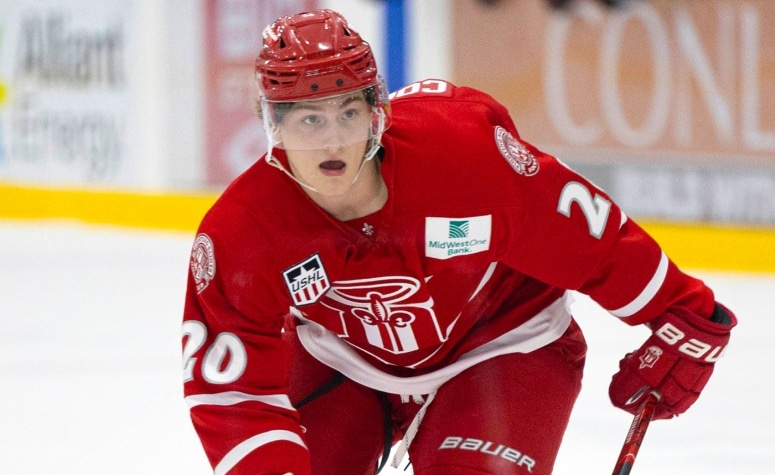 Gavin Cornforth had four goals and 10 points in 49 games for Dubuque this season. (Stephen Gassman)
